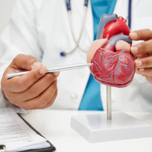 Best Cardiologist in Boisar